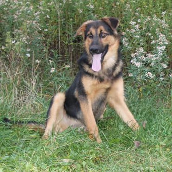 Lucky - Für-Immer-Glück gesucht