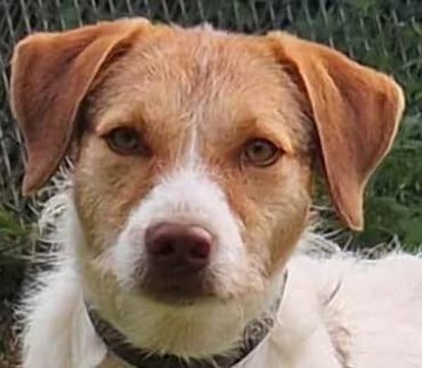 Trina - die Unschudige