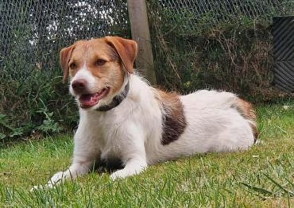 Trina - die Unschudige