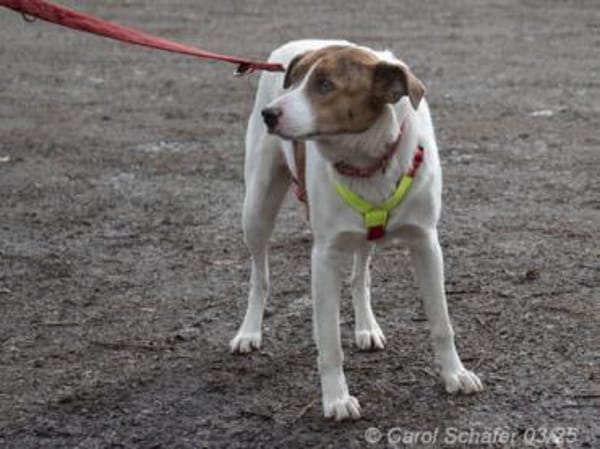 Elli hat ihre eigene Persönlichkeit