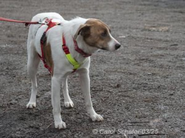 Elli hat ihre eigene Persönlichkeit