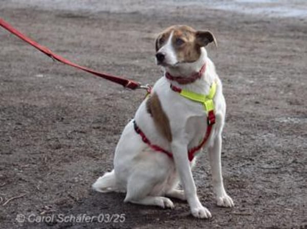 Elli hat ihre eigene Persönlichkeit