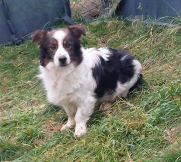 Hübscher Mick wartet in Nürnberg!