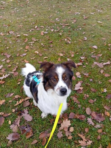 Hübscher Mick wartet in Nürnberg!