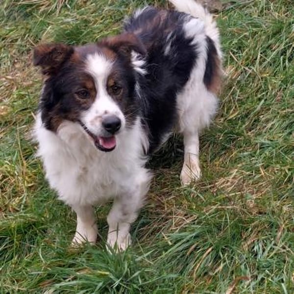 Hübscher Mick wartet in Nürnberg!