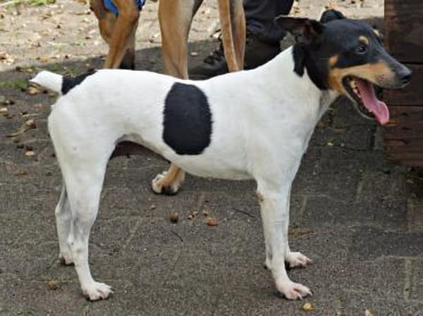 Athenea, zutraulich, freundlich, offen