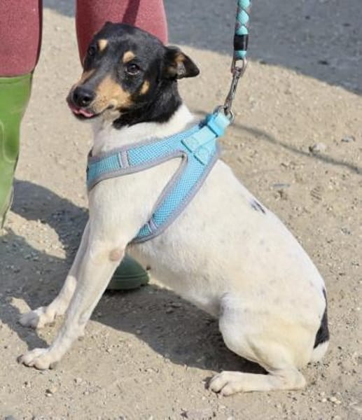 Athenea, zutraulich, freundlich, offen