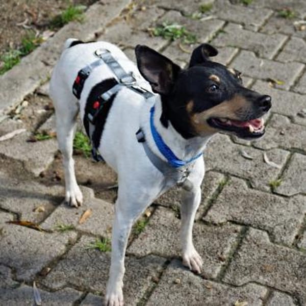 Athenea, zutraulich, freundlich, offen