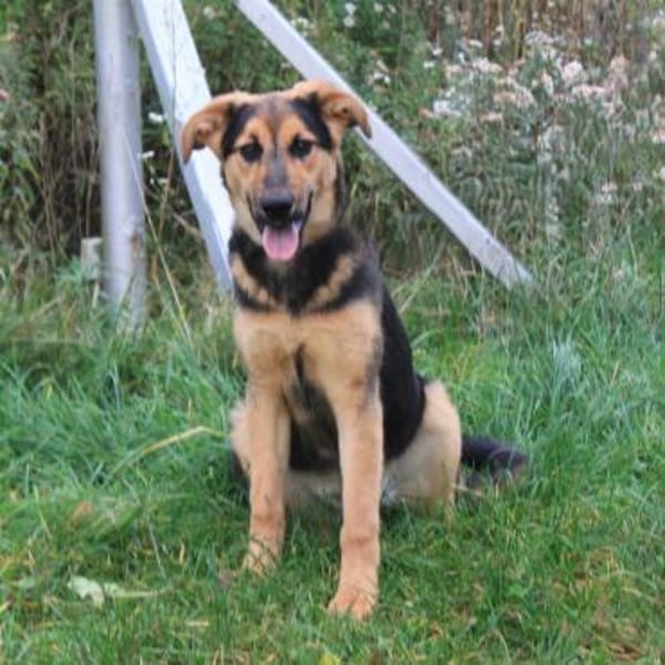 Lilly auf Familiensuche