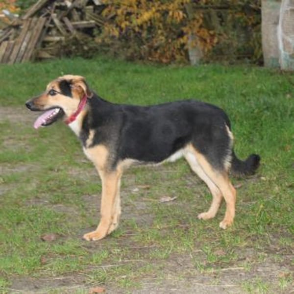 Lilly auf Familiensuche