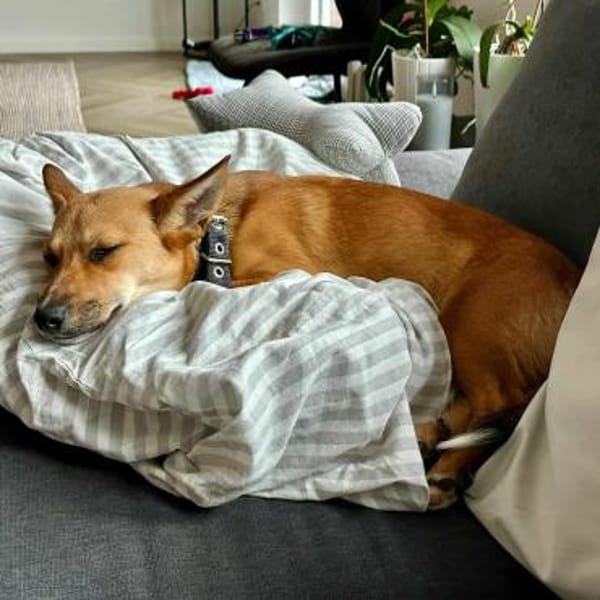 Fiona - großes Herz auf Familiensuche