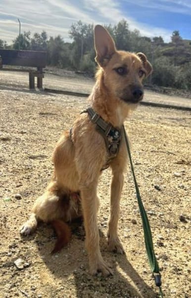 DUENDE❤sanft, fröhlich und voller Liebe