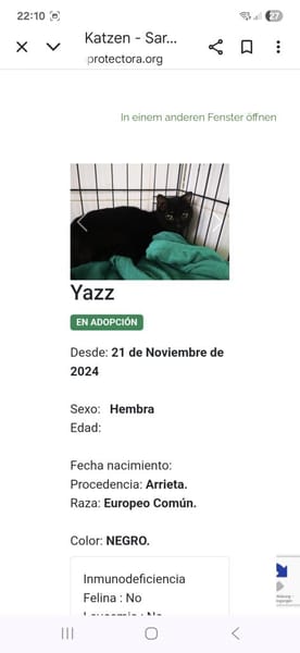 Blinde Yazz - ganz liebe Maus