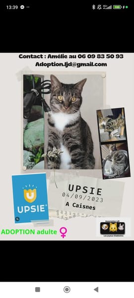 Upsie