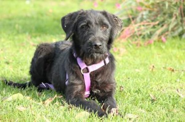 Hope sucht ihre Lieblingsmenschen