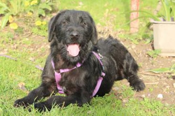 Hope sucht ihre Lieblingsmenschen