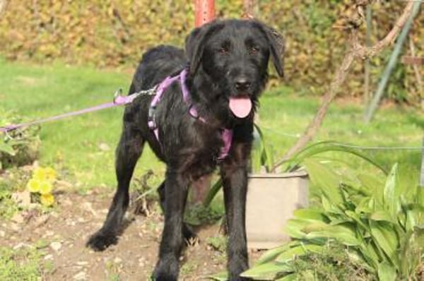 Hope sucht ihre Lieblingsmenschen