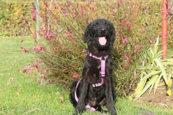 Hope sucht ihre Lieblingsmenschen