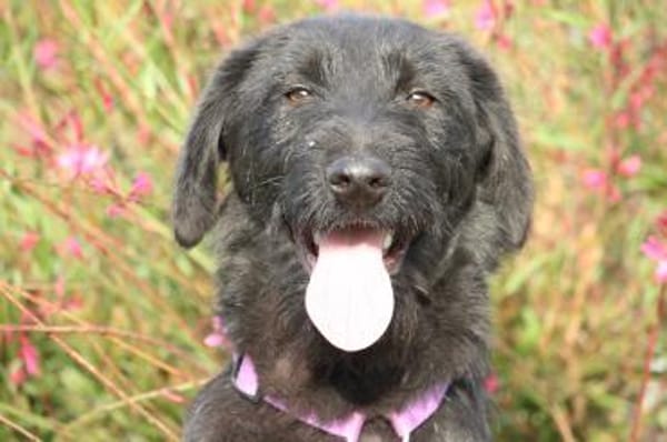 Hope sucht ihre Lieblingsmenschen