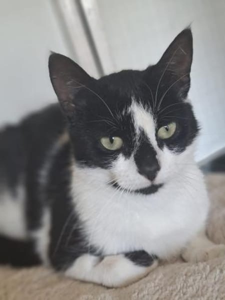 Patty sucht ein liebevolles Zuhause