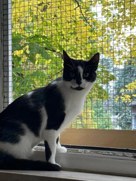 Patty sucht ein liebevolles Zuhause