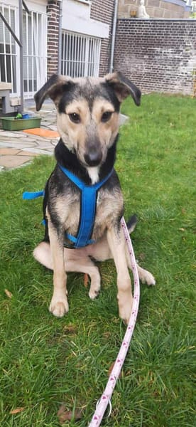 Noya ist ein zartes Seelchen 🐾