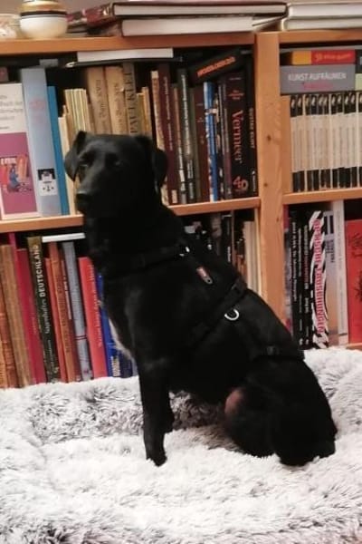 zarte FREYA💖wartet in 01640 Coswig!