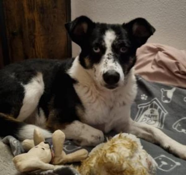 hübsche Mila sucht ihr Perfect Match