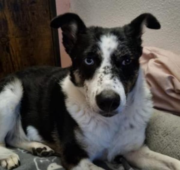 hübsche Mila sucht ihr Perfect Match