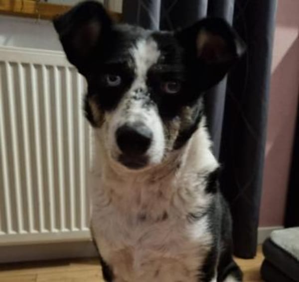 hübsche Mila sucht ihr Perfect Match