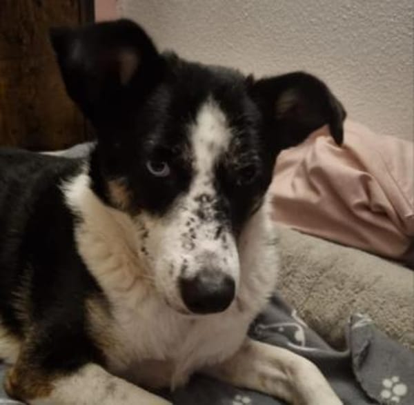 hübsche Mila sucht ihr Perfect Match