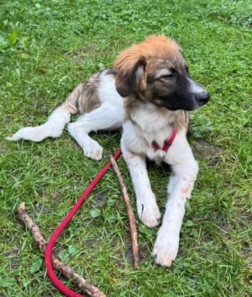 Antonio, jetzt Nuno, wartet in FFM