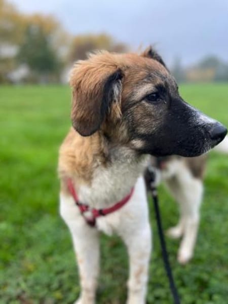 Antonio, jetzt Nuno, wartet in FFM