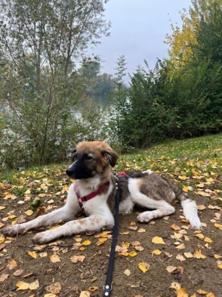 Antonio, jetzt Nuno, wartet in FFM