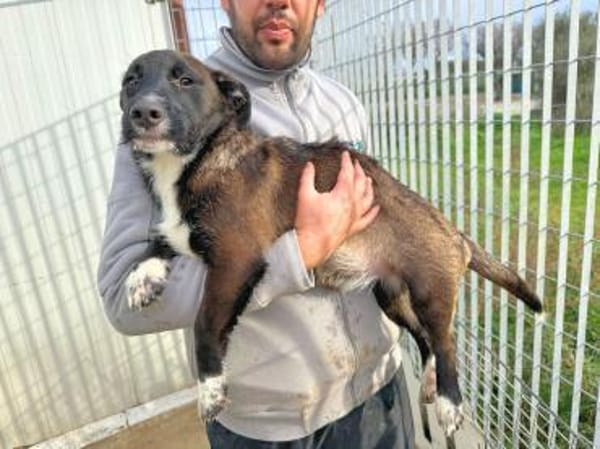 ROSETTA - so eine süße kleine Maus