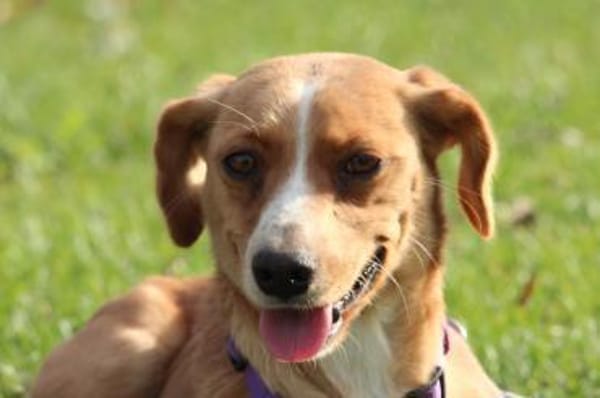 Stell möchte mit Dir die Welt entdecken.