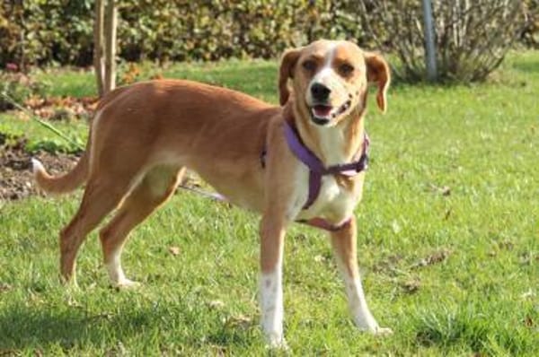 Stell möchte mit Dir die Welt entdecken.