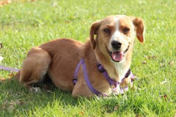 Stell möchte mit Dir die Welt entdecken.