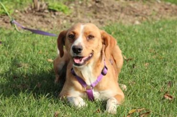 Stell möchte mit Dir die Welt entdecken.