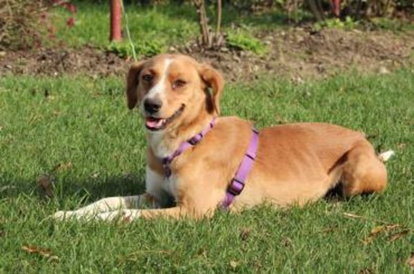 Stell möchte mit Dir die Welt entdecken.