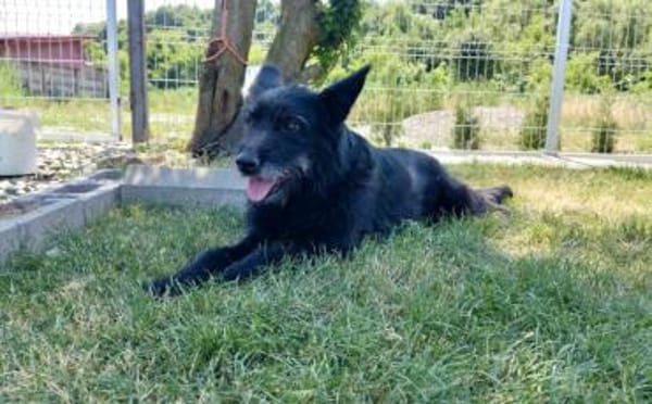 Mariechen sucht ein Zuhause