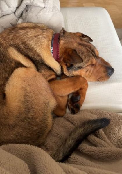 Urki noch so jung, will durchstarten