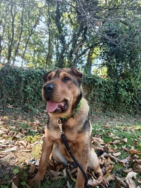 Urki noch so jung, will durchstarten