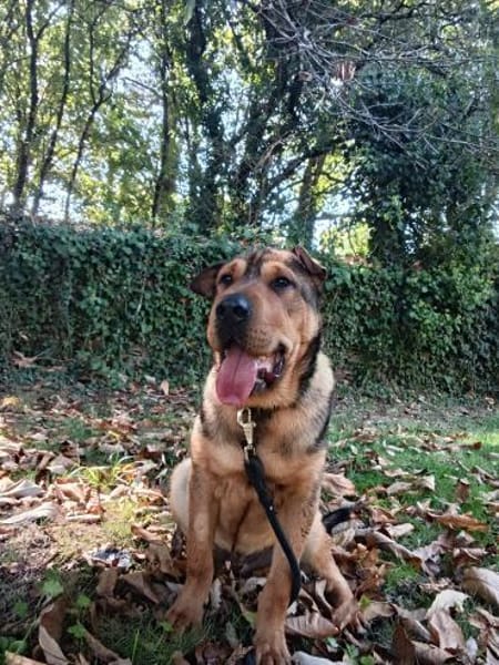 Urki noch so jung, will durchstarten