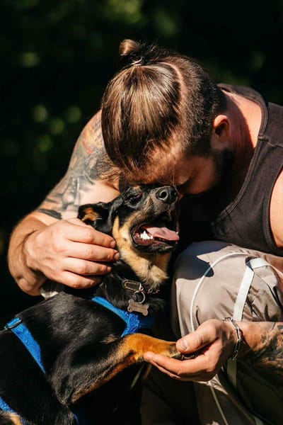 Fröhlicher Ringo sucht seine Menschen