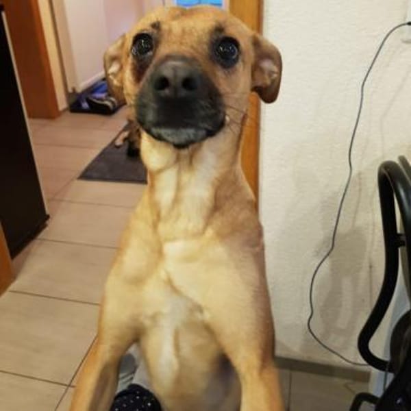 Ausgelassene MENA sucht Zuhause ❤