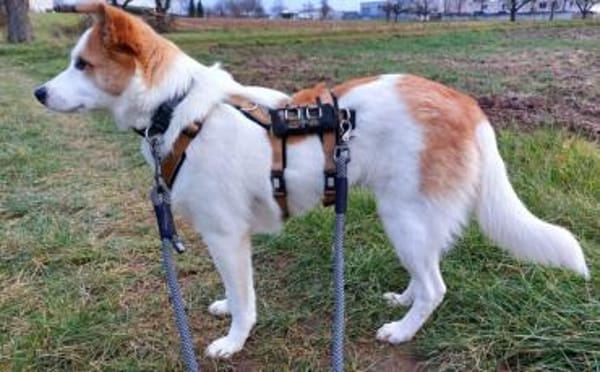 Jenna möchte endlich ankommen