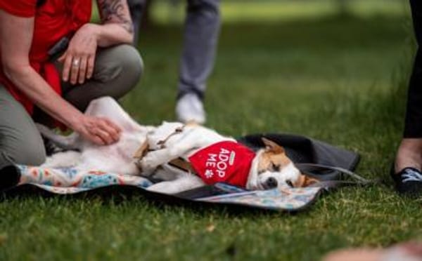 Jenna möchte endlich ankommen