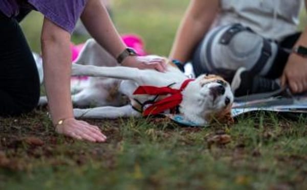 Jenna möchte endlich ankommen