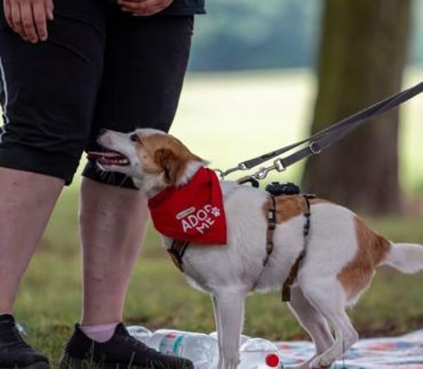 Jenna möchte endlich ankommen